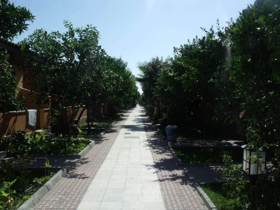 Gartenanlage Özlem Garden Hotel