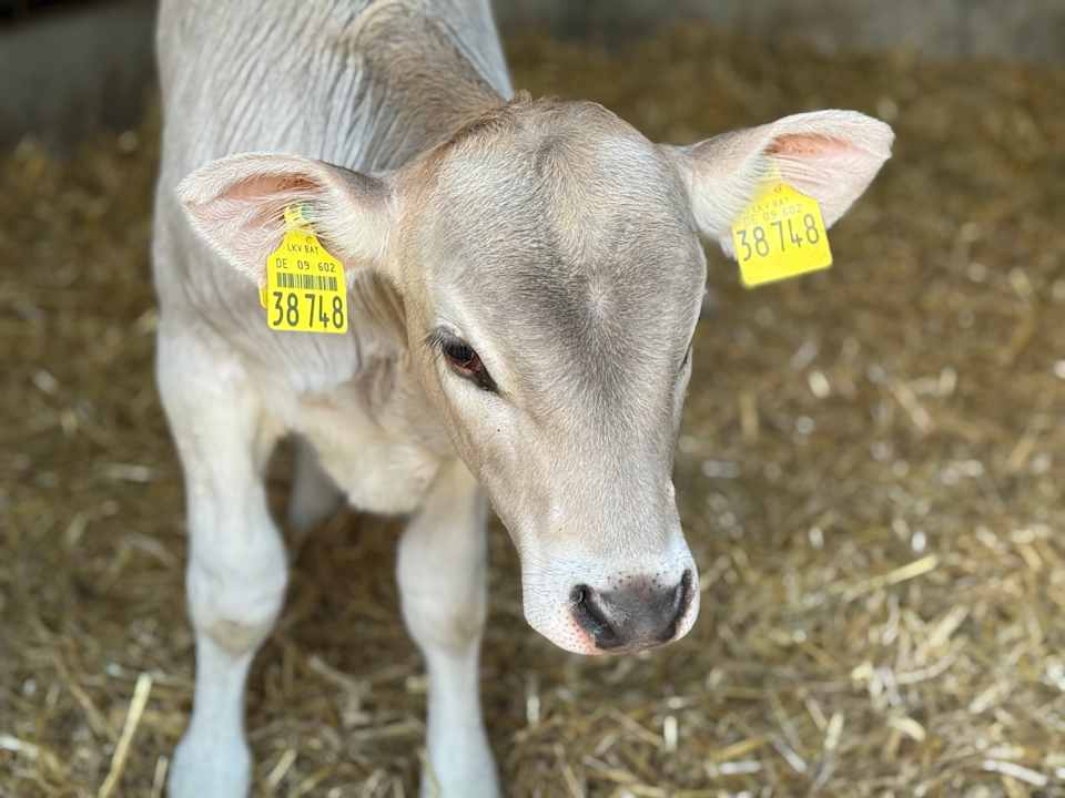 Sonstiges Ferienhof Schelle