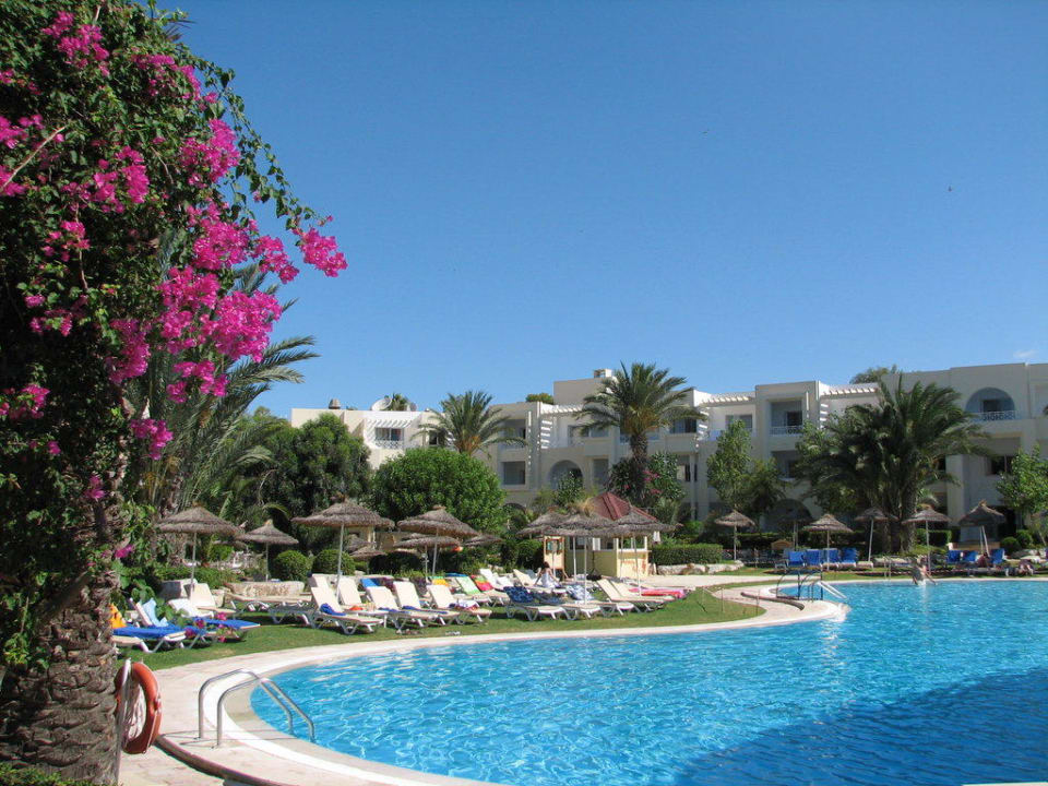 Activity Pool TUI MAGIC LIFE Africana