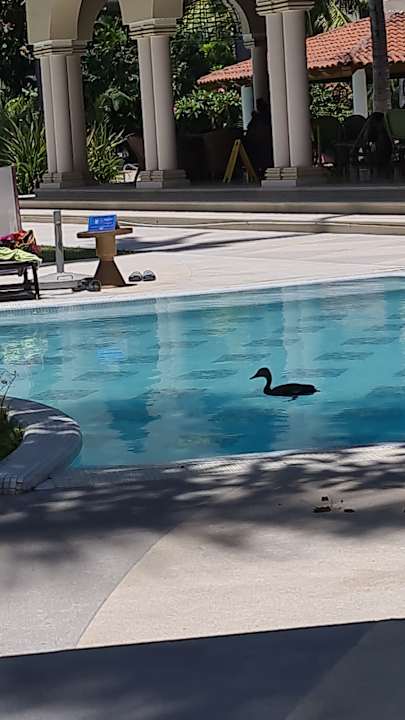 Pool The Hacienda at Hilton Puerto Vallarta - Adults Only