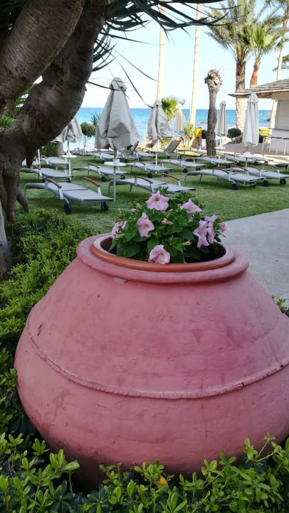 Gartenanlage Hotel Sunrise Beach