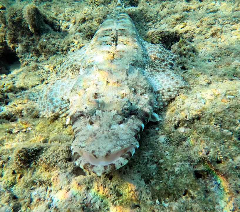 Strand Brayka Bay Resort