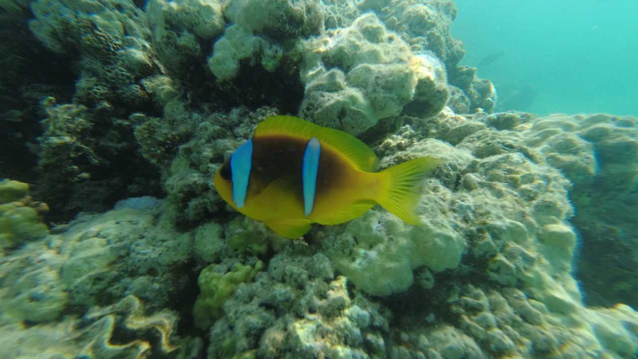 Sport & Freizeit Stella Beach Resort & Spa Makadi Bay