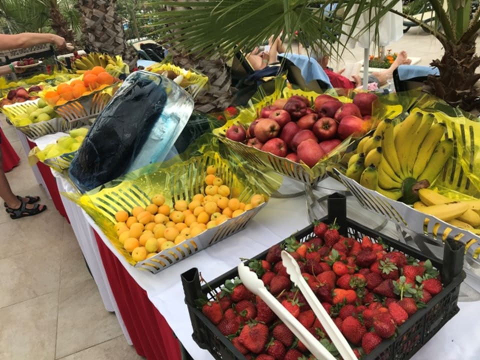 Gastro Alba Queen Hotel