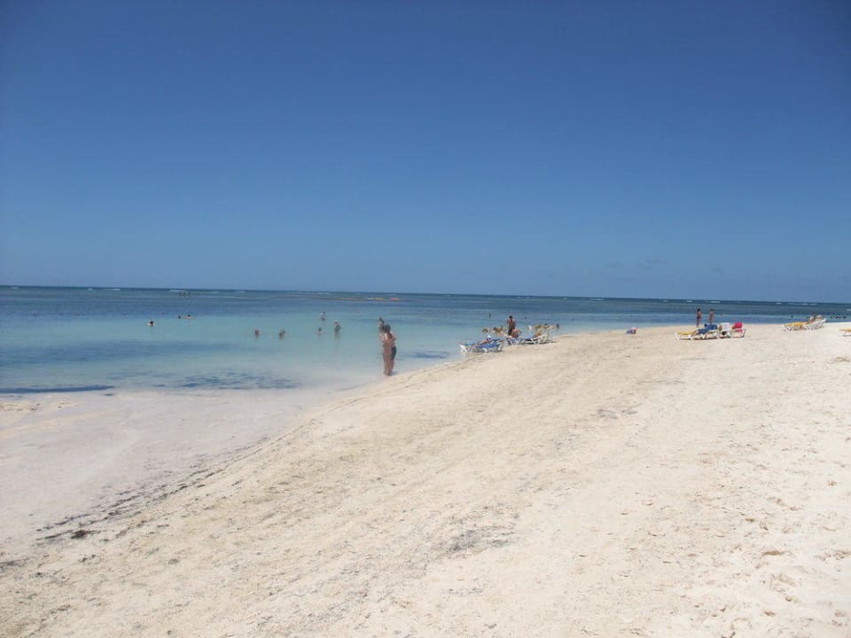 Traumstrand? Catalonia Punta Cana - All Inclusive