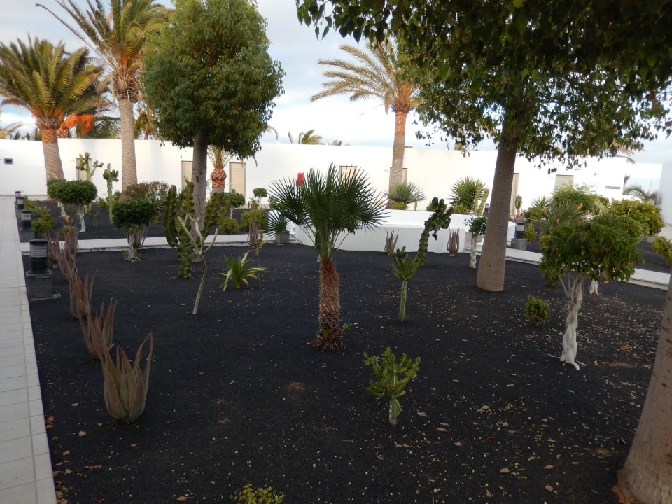 Gepflegter Garten Hotel Las Costas