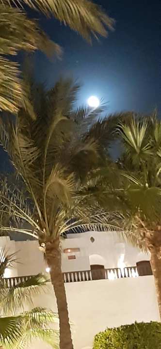 Gartenanlage Arabella Azur Resort