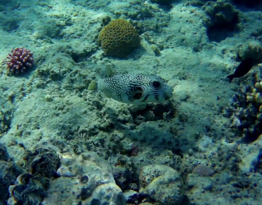 Strand Titanic Beach Spa & Aqua Park