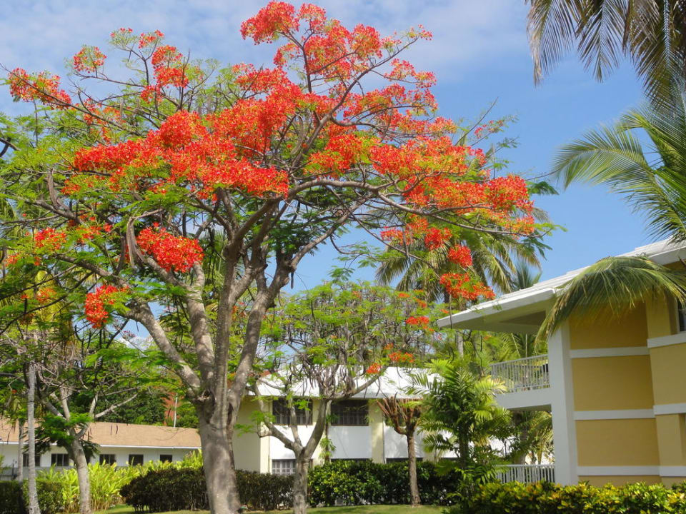 Sowas hätten wir auch gern TRS Turquesa Hotel - Adults only