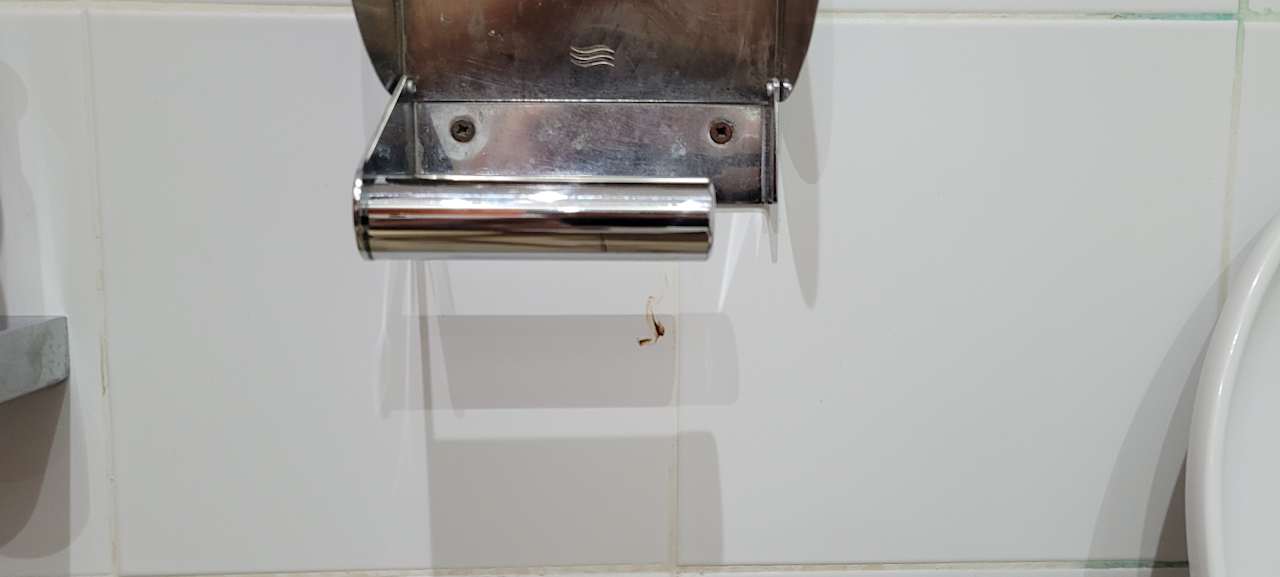 Zimmer SBH Costa Calma Beach Resort