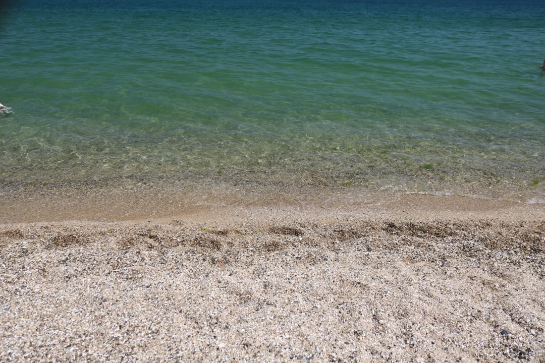 Strand Sentido Marea