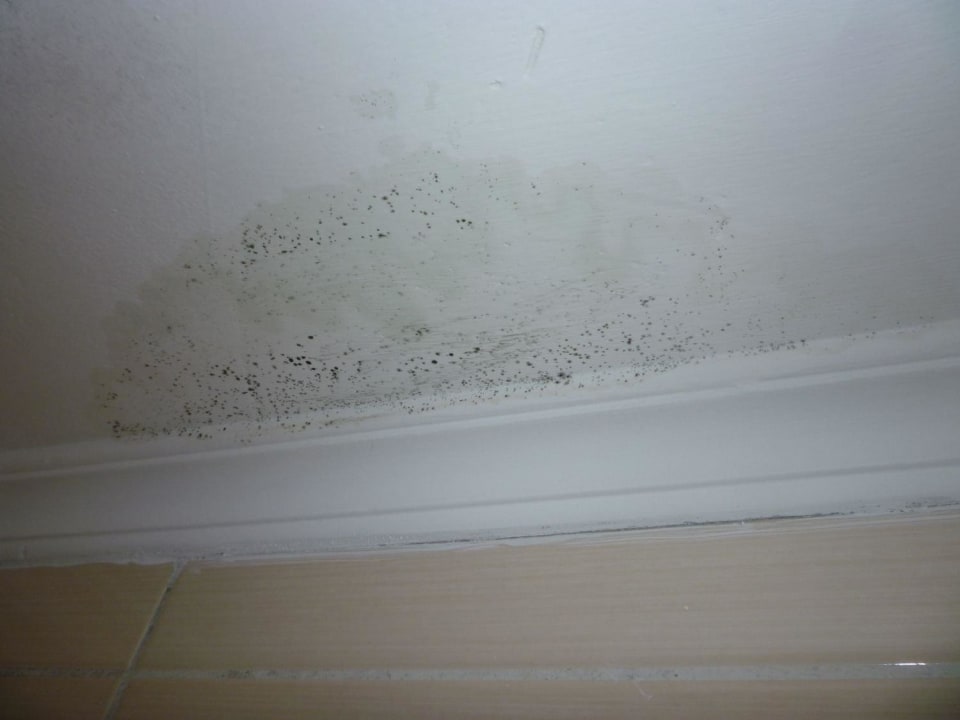 Schimmel an der Decke Club Resort Atlantis
