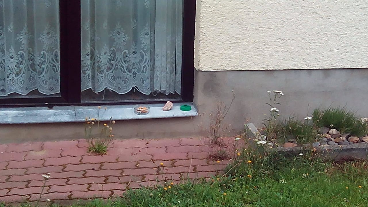 Der Aschenbeche steht schon länger dort. Hotel Erblehngericht Papstdorf