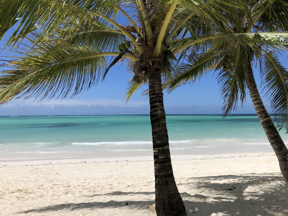 Strand Neptune Pwani Beach Resort & Spa