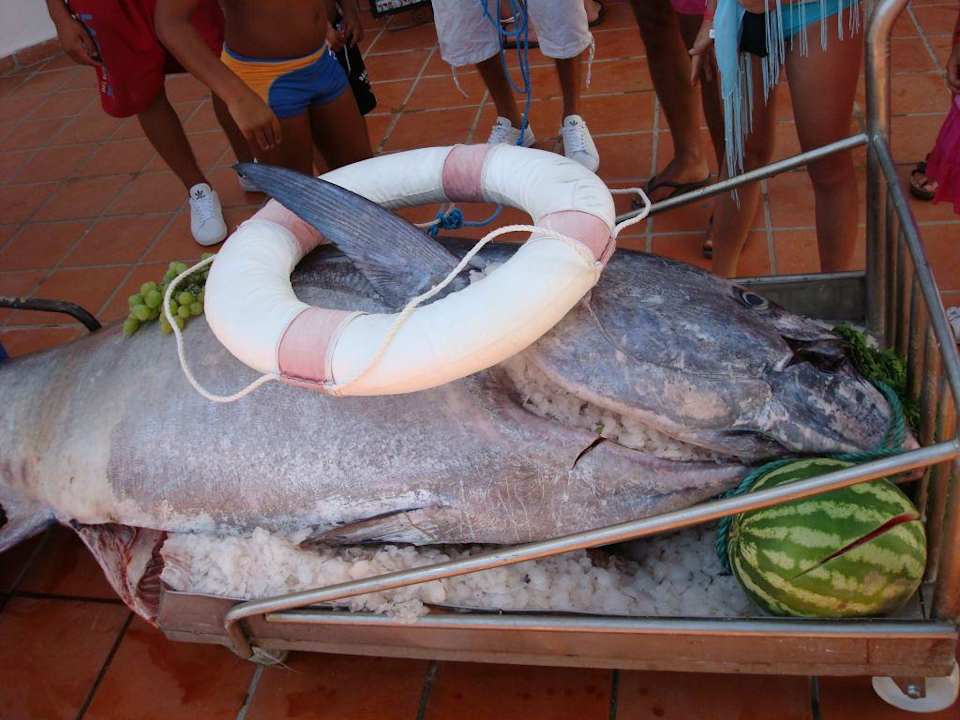 Unser Mittagessen Eden Club