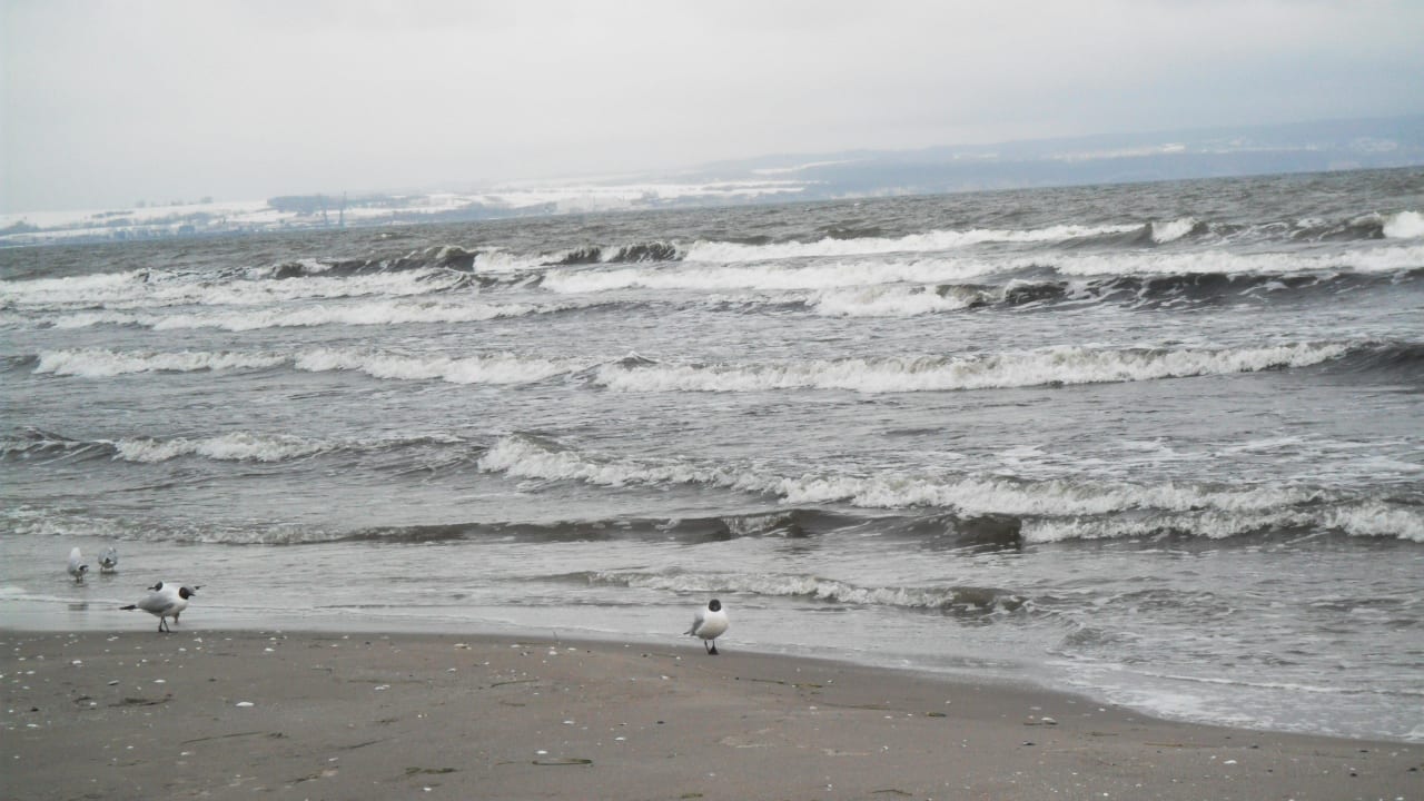 Strand IFA Rügen Hotel & Ferienpark