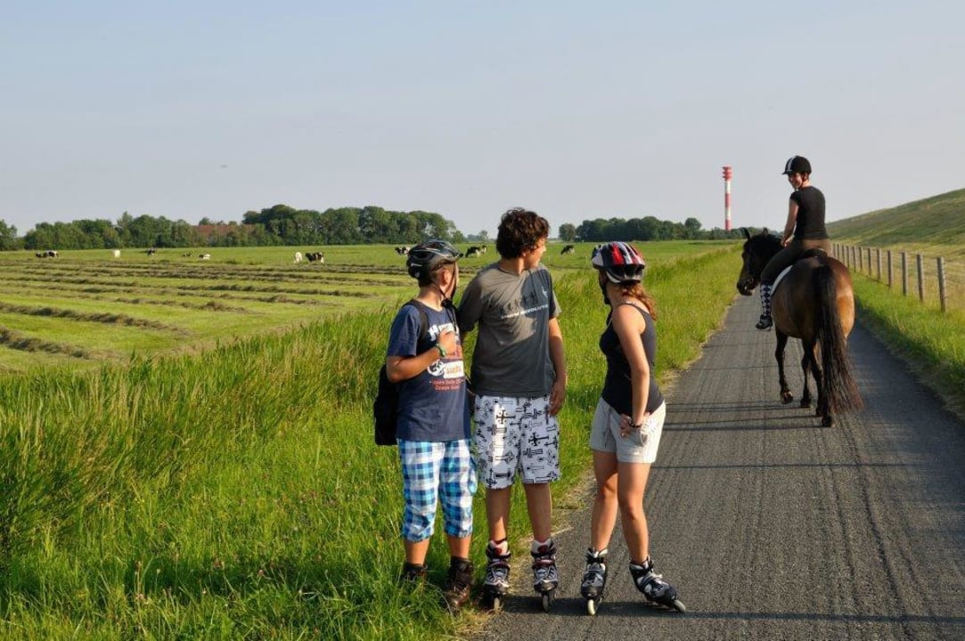 Reiten, Inlineskaten, Joggen, Fahrrad fahren Resthof Wattenmeer Ferien