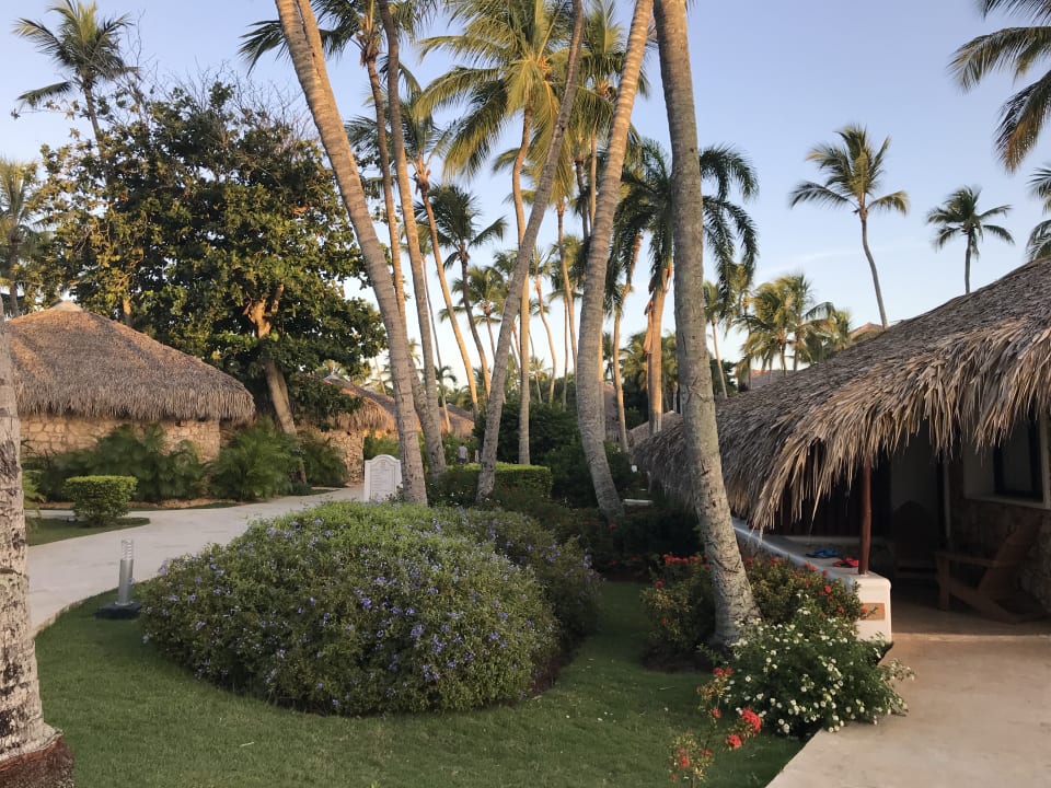 Gartenanlage Hotel Viva Dominicus Beach by Wyndham - All Inclusive Resort