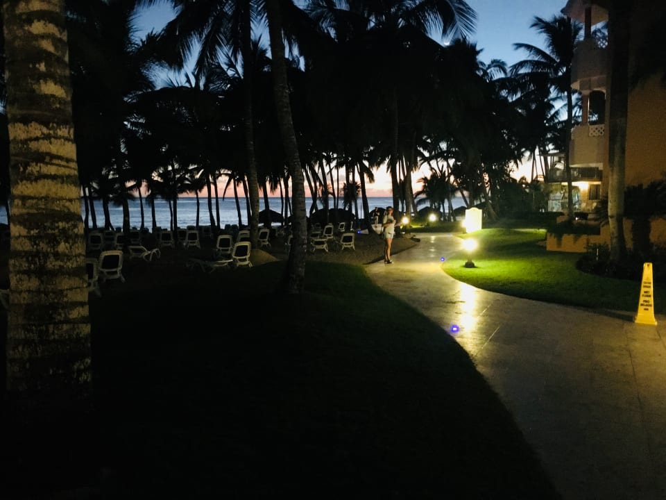 Gartenanlage Hotel Viva Dominicus Palace by Wyndham-All Inclusive Resort