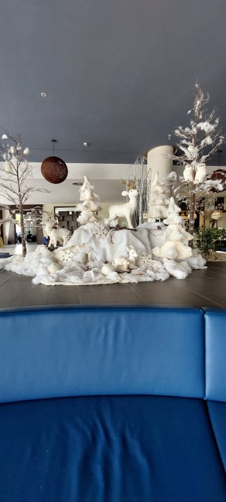 Sonstiges Hotel Riu Arecas - Adults only