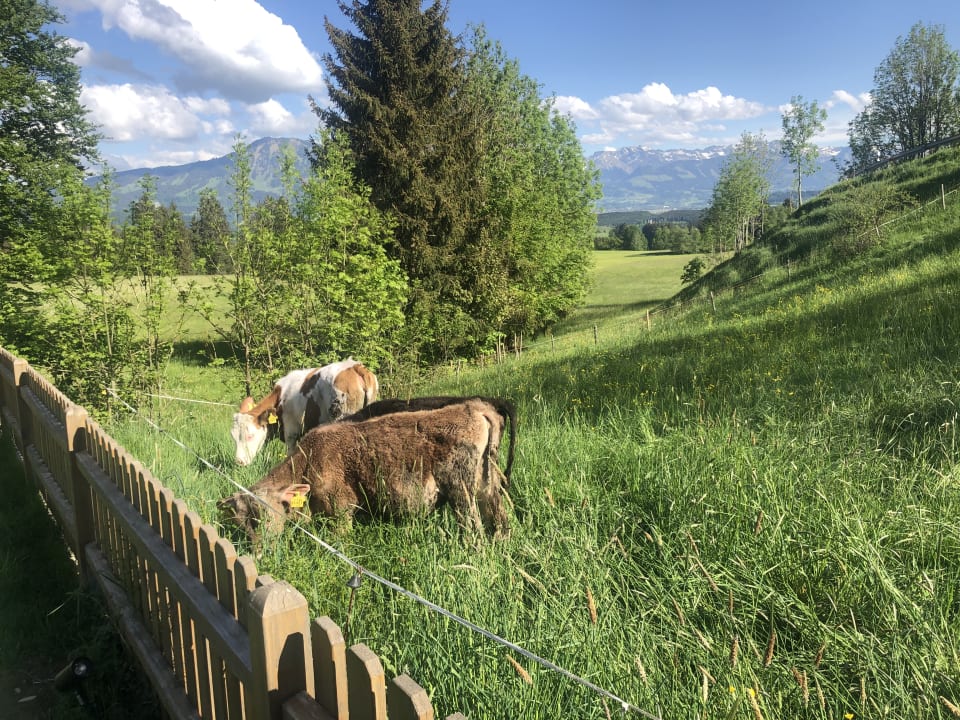 Gartenanlage Kuschel's Panorama Landhaus