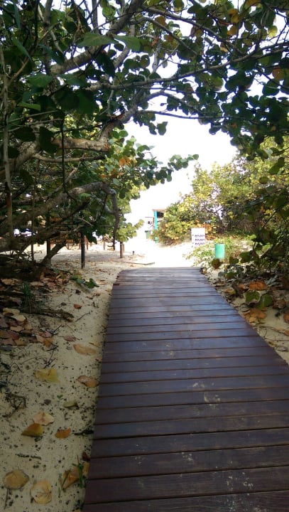 Weg zum Strand Sol Hicacos Varadero