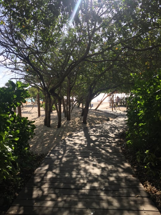 Weg zum Strand Iberostar Waves Paraiso Beach