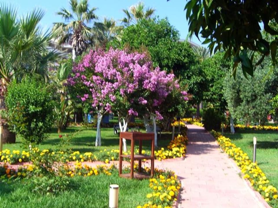 Garten Seher Kumköy Star Resort & Spa