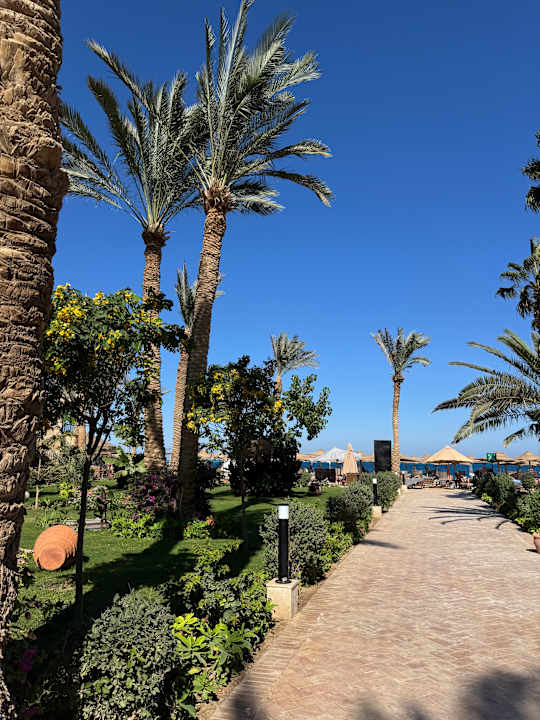 Strand ananea Hurghada