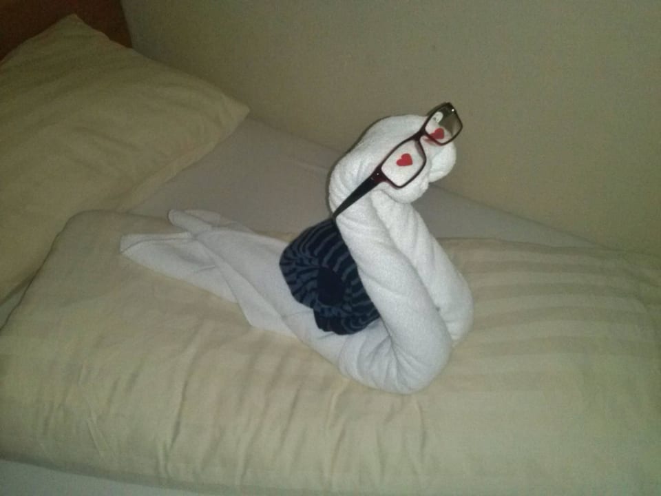 BRILLENSCHLANGE  SCOL Sporthotel Zillertal