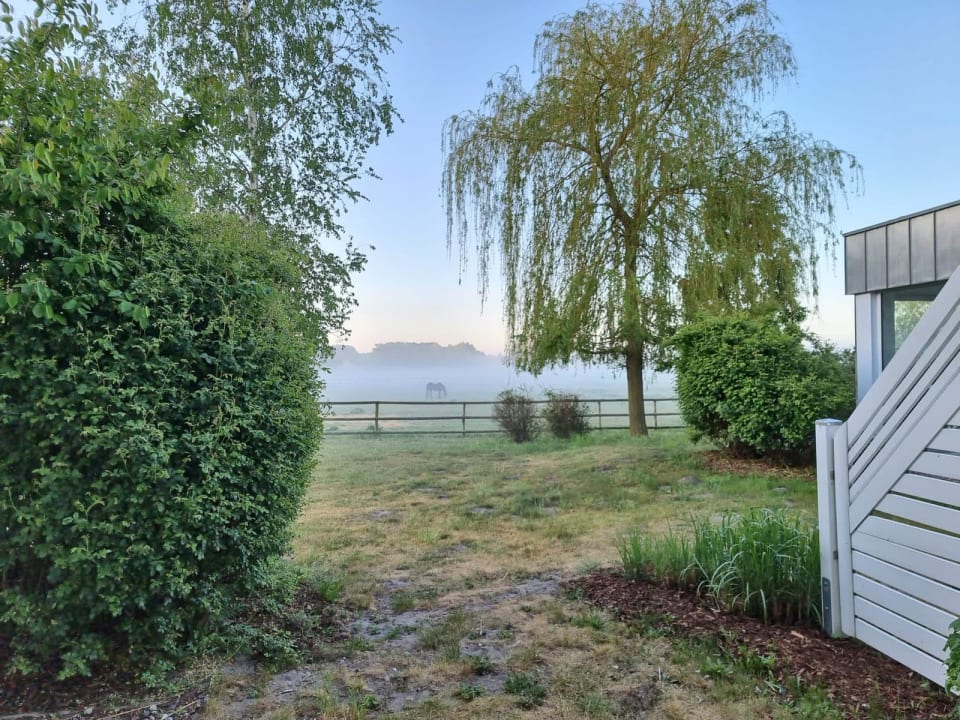 Ausblick Hotel Friesenhof