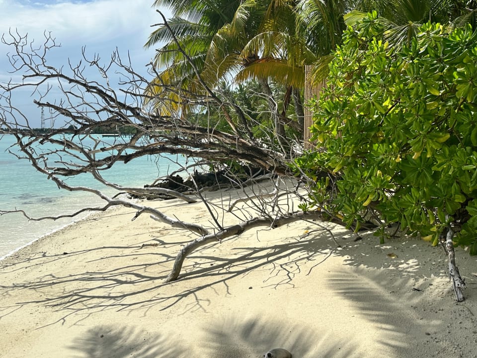 Strand Kuramathi Maldives
