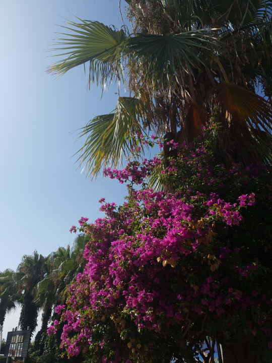 Ausblick J'adore Deluxe Hotel & Spa