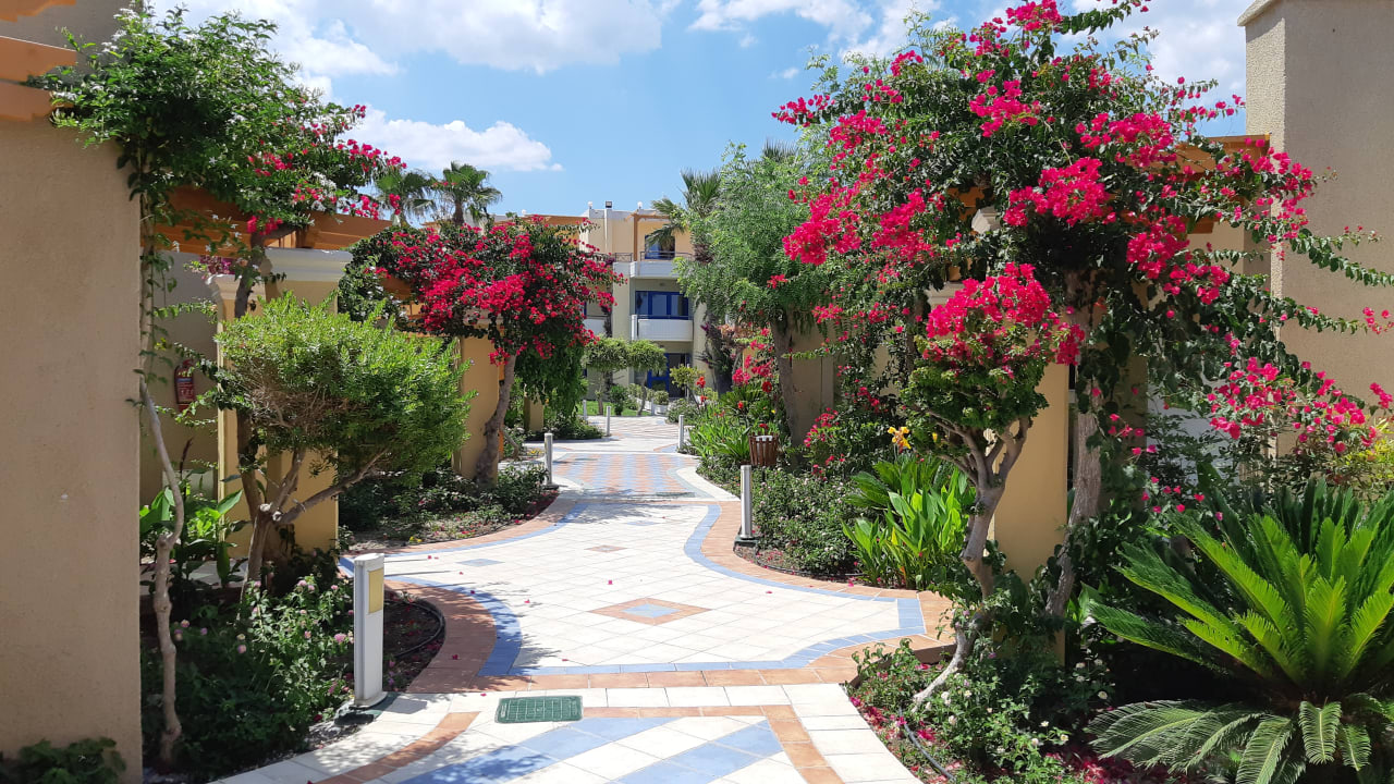 Gartenanlage Atrium Palace Thalasso Spa Resort & Villas
