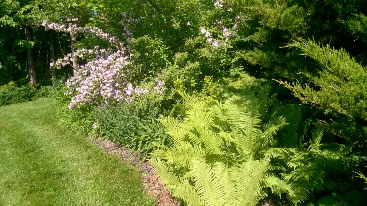 Gartenanlage Siedlisko Orlik - Villa Orlik