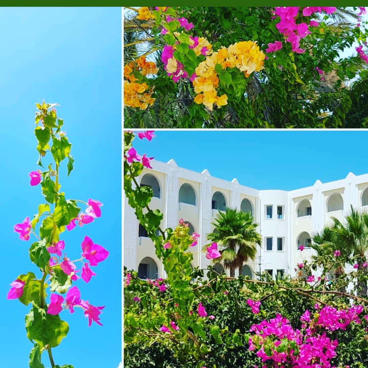 Gartenanlage Calimera Yati Beach