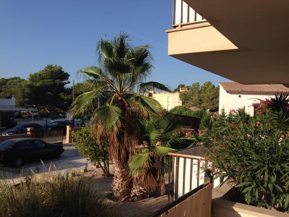 Ausblick von der Terasse Apartments Ibiza
