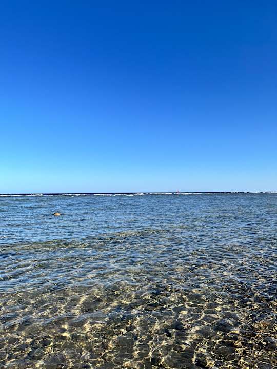 Strand Serenity Alma Heights