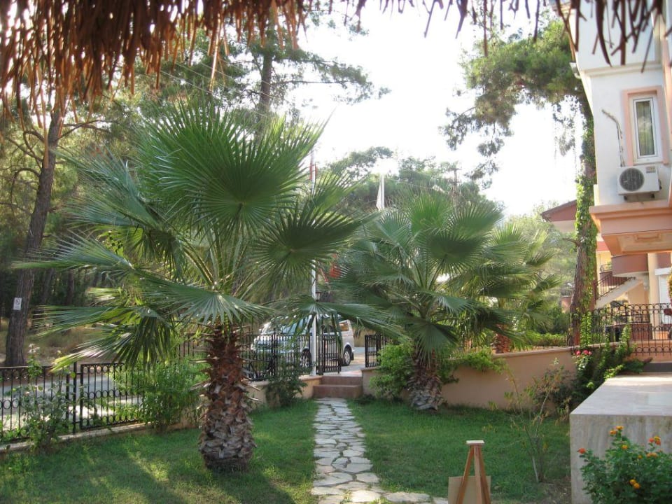 Außenbereich Hotel Hotel Forest Park