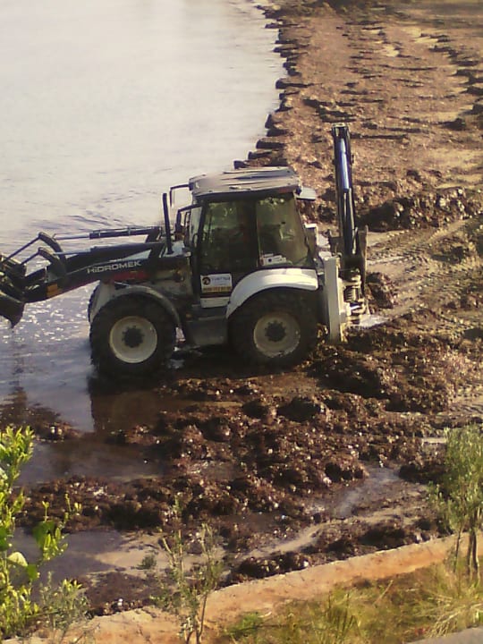 Strand Gold Island Selected