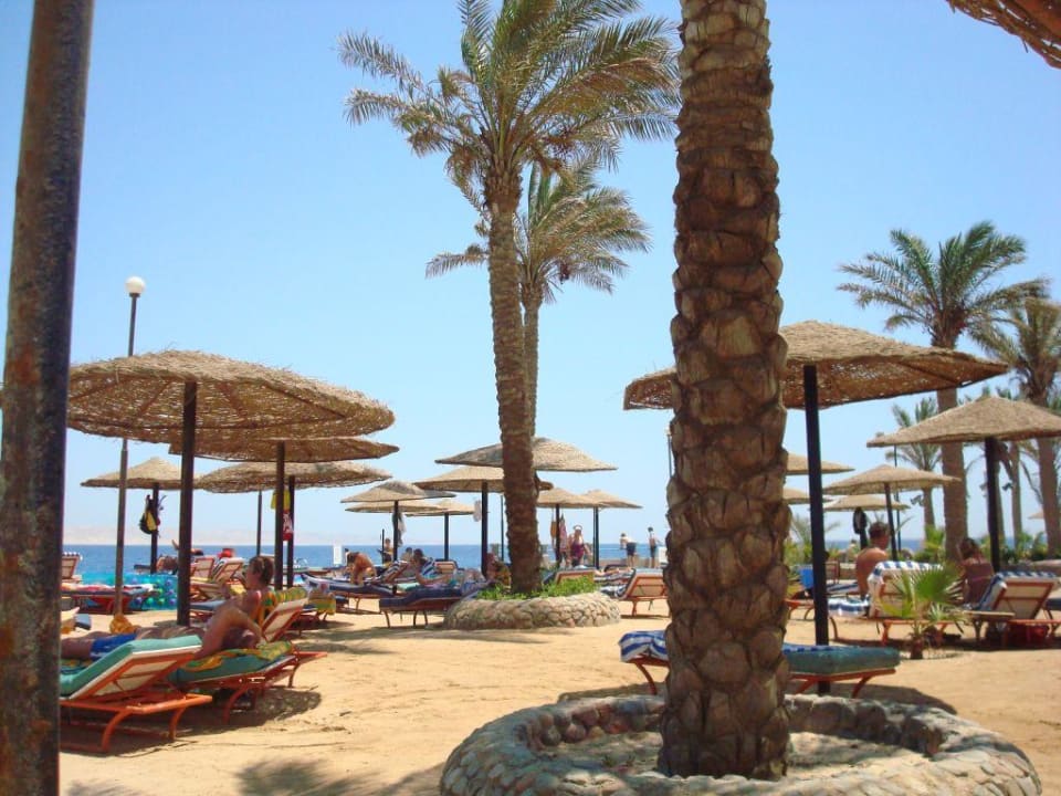 Der Strand Bel Air Azur Resort - Adults only