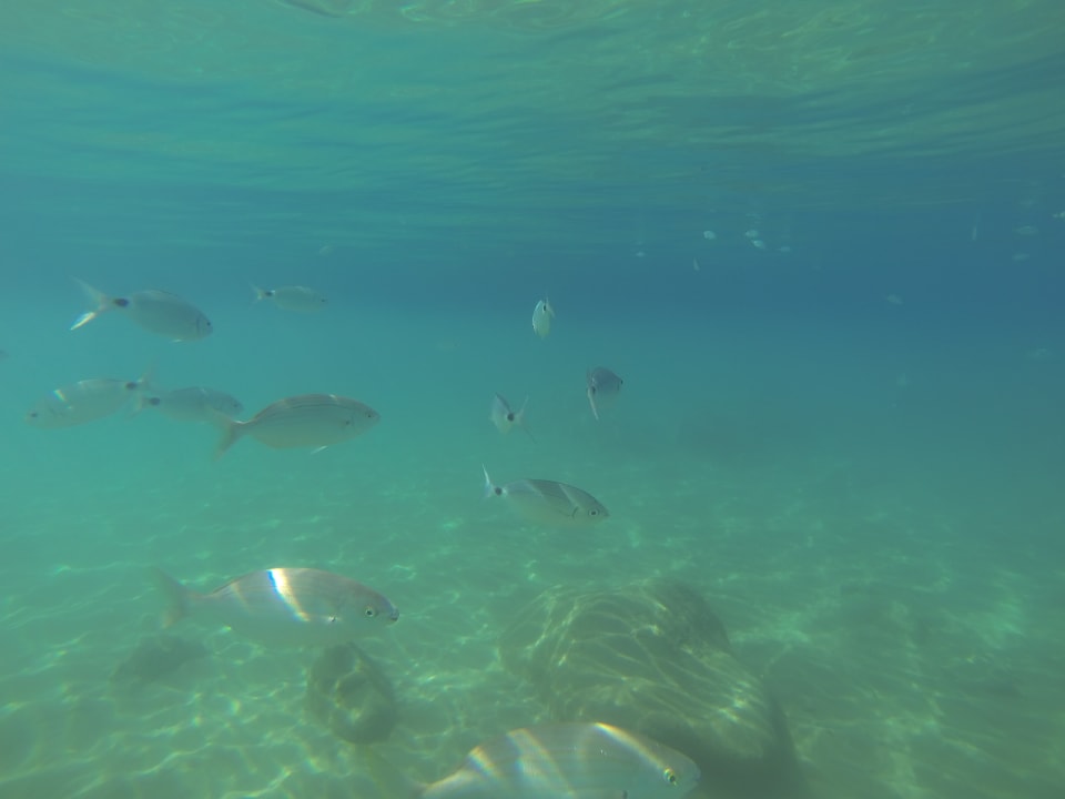 Strand Atlantica Mikri Poli Crete