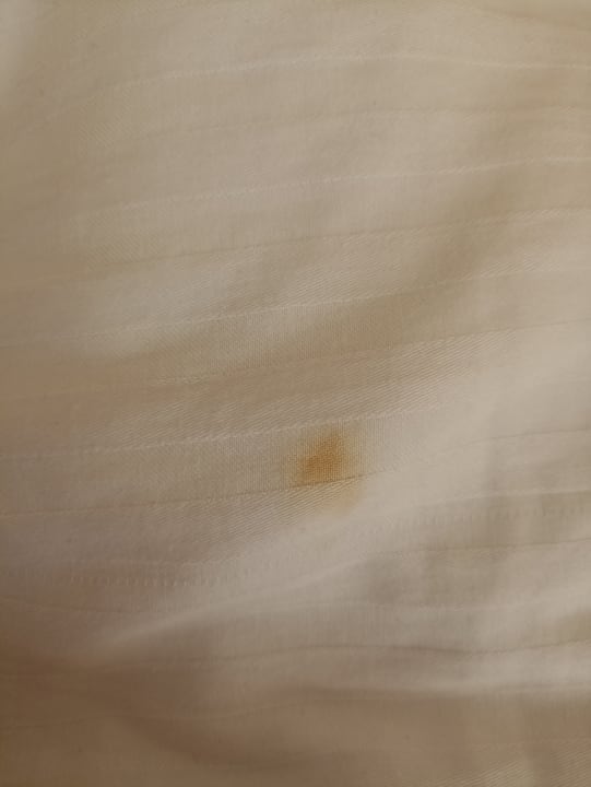 Zimmer Ghazala Gardens