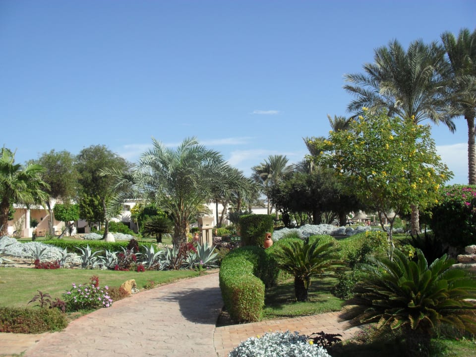 Ogród Parrotel Beach Resort