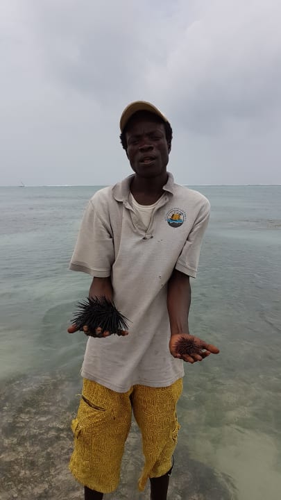 Sonstiges Neptune Village Beach Resort & Spa