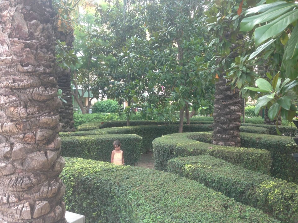 Романтичные лабиринты Crystal Paraiso Aqua Collection