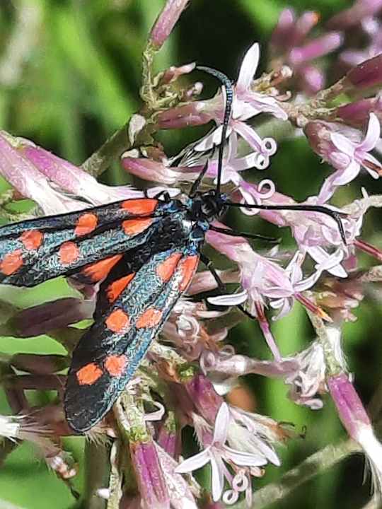 Sonstiges Cyprianerhof Dolomit Resort