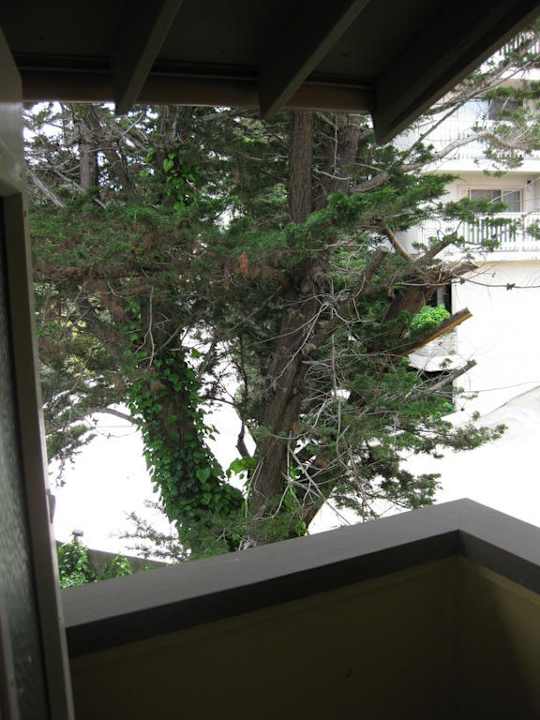 Ausblick vom Balkon Hotel Abrego