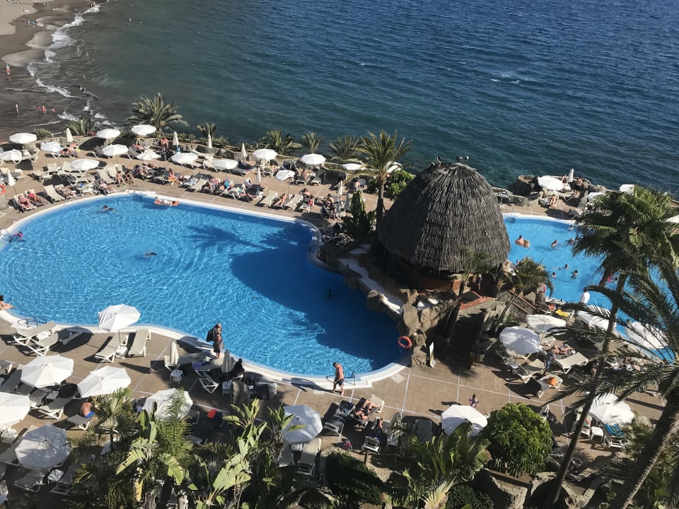 Pool Princess Taurito