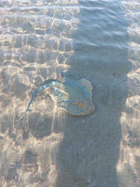 Strand Grand Waterworld Makadi